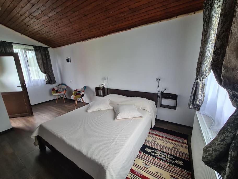 Cabana Bujor De Munte Rîşnov 외부 사진